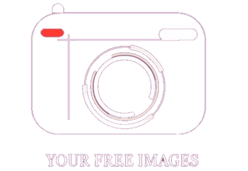 Your Free Images