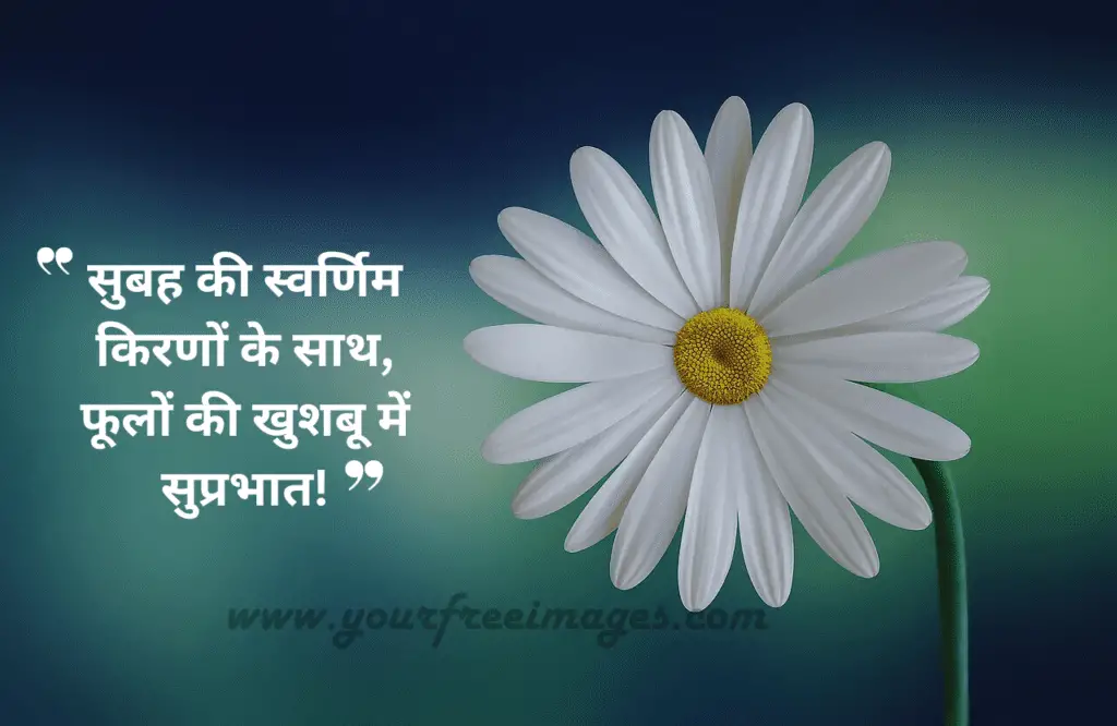 Good morning hindi quotes Your Free Images