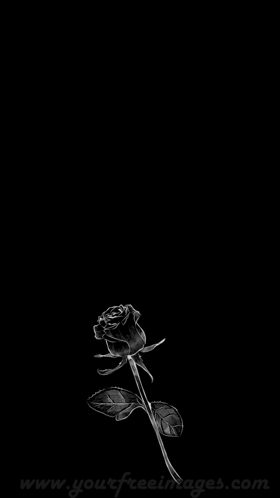 Rose Aesthetic Wallpaper Dark Wallpaper Your Free Images