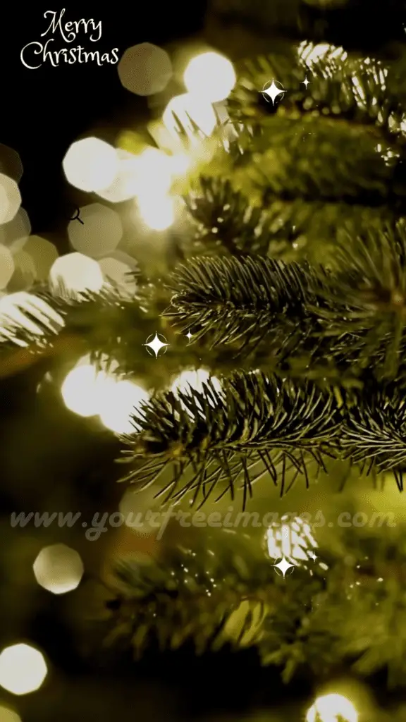 Merry Christmas Your Free Images