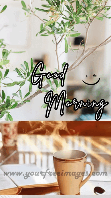 Good Morning GIF 5 Your Free Images