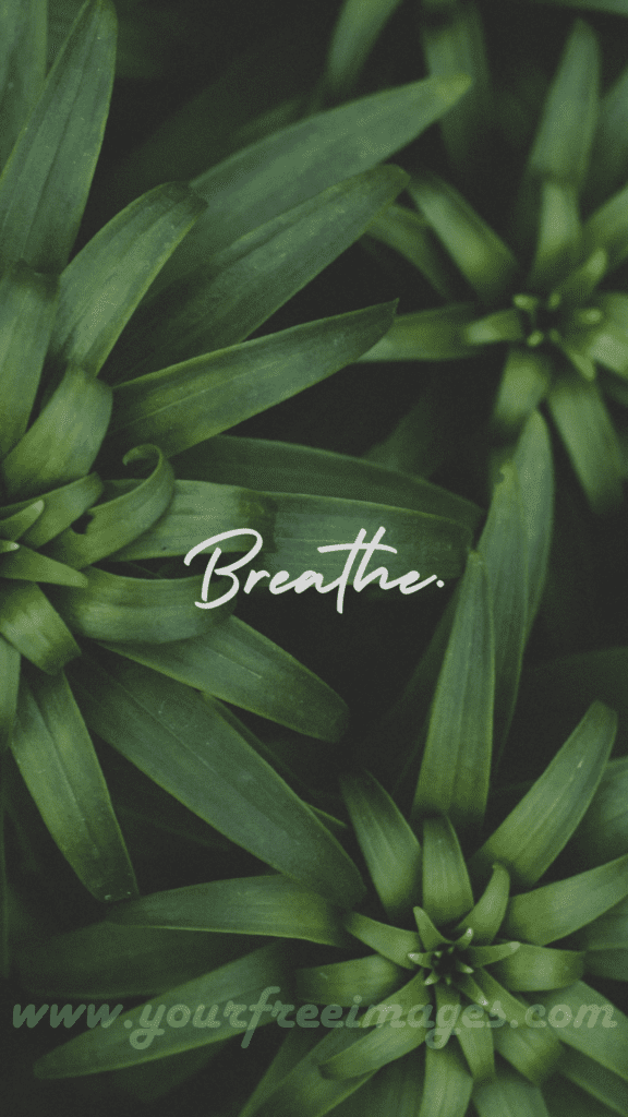 Breathe Quote on Green Grass Wallpaper