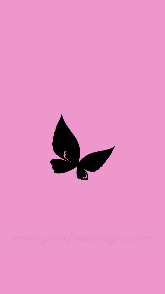Beautiful Black butterfly pink wallpaper