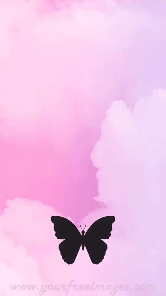 Butterfly Pink Wallpaper Your Free Images