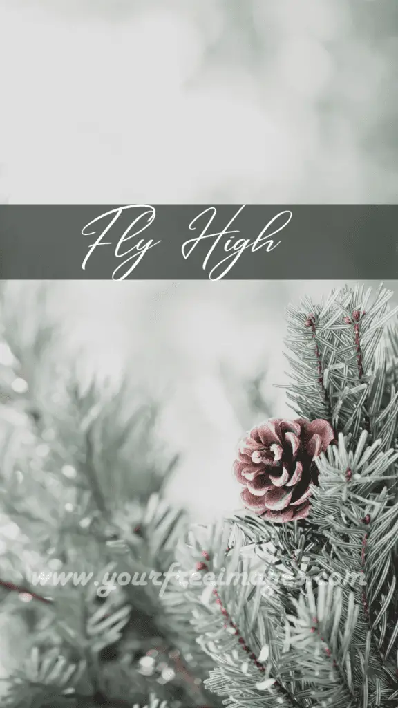 Fly High winter wallpaper