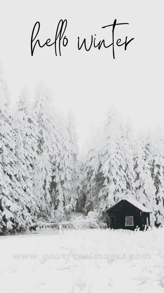 Winter wallpaper