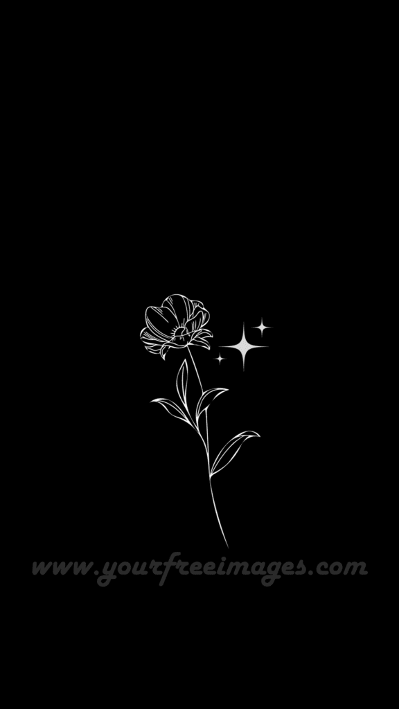 Aesthetic dark flower