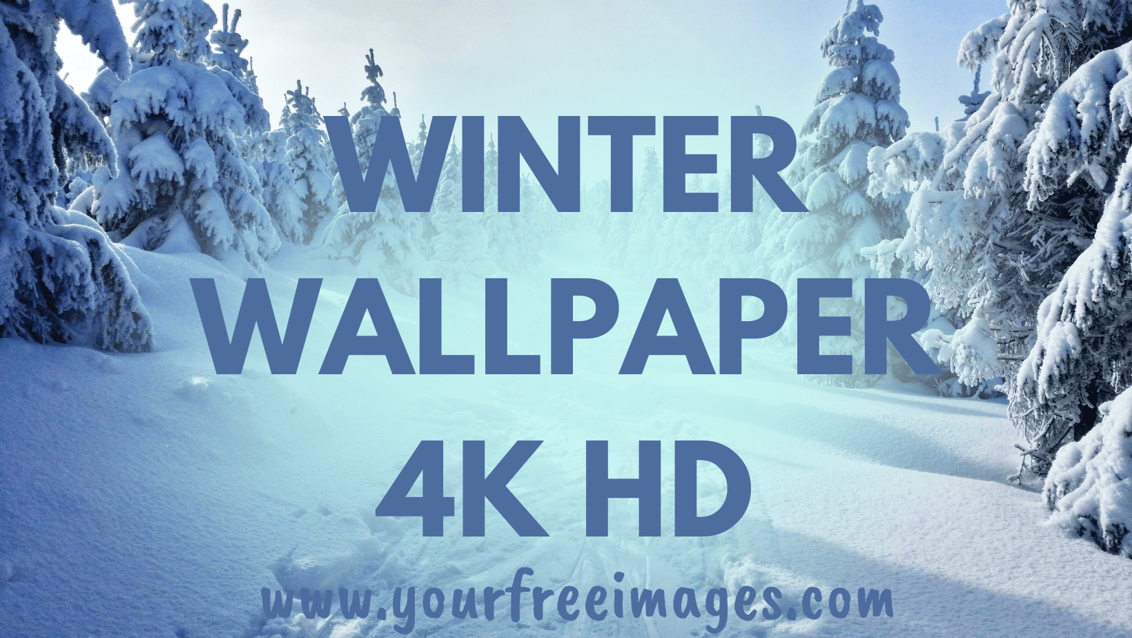 winter Wallpaper 4k