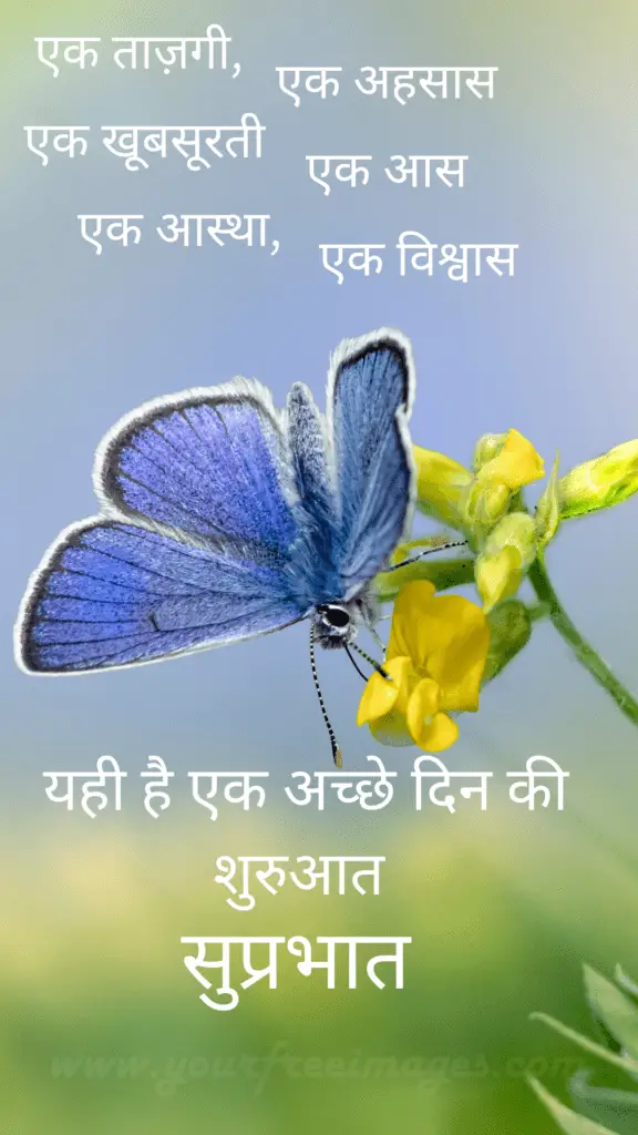 गुड मॉर्निंग विशेज़  इन हिंदी Good Morning Images Hindi