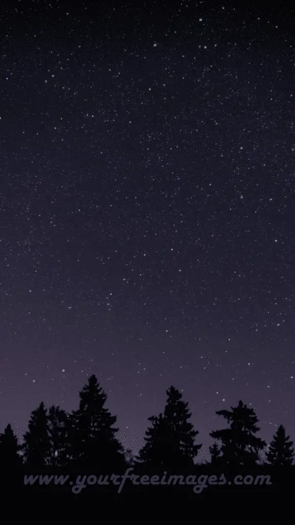 High-quality starry night backdrop, designed for a captivating wallpaper experience