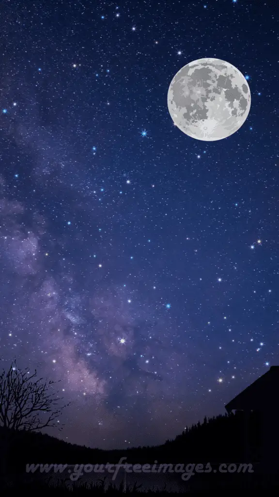 Elegant star-filled sky wallpaper, adding a touch of cosmic wonder to your device