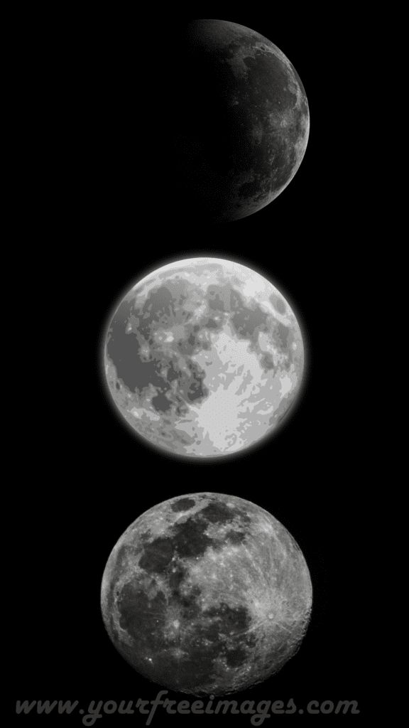 A collage showing the various phases of the moon, from new to full.