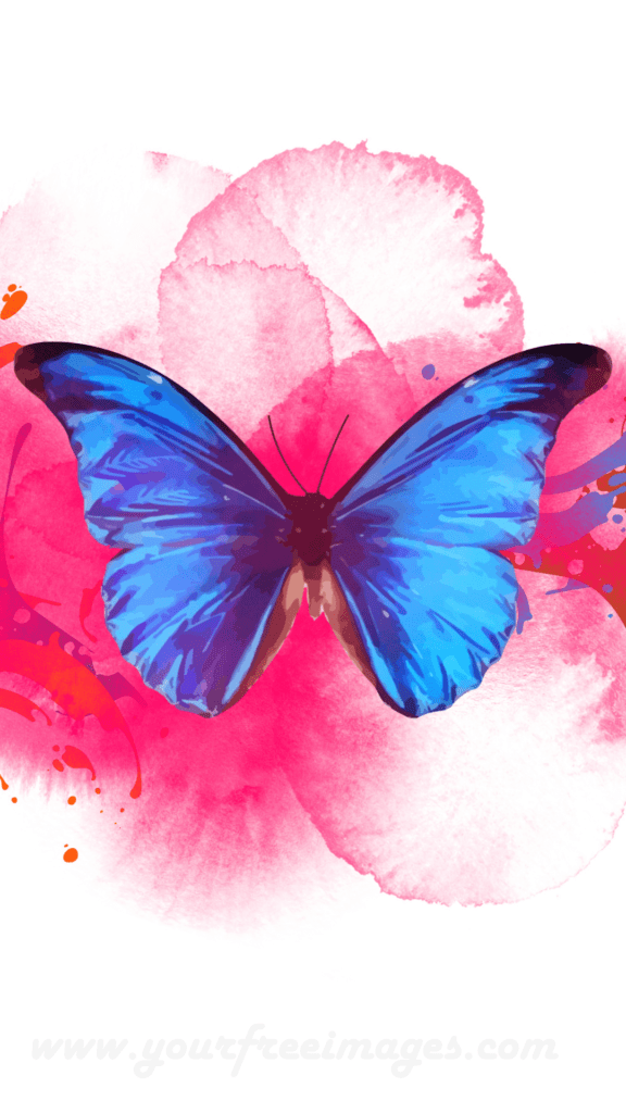 Blue butterfly with pink colorful background