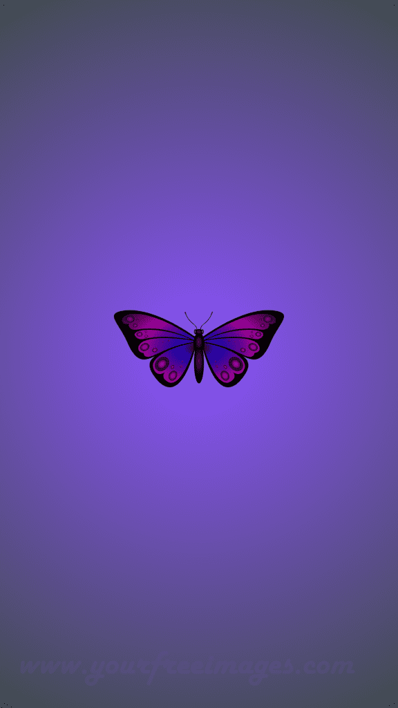 Butterfly wallpaper with purple background